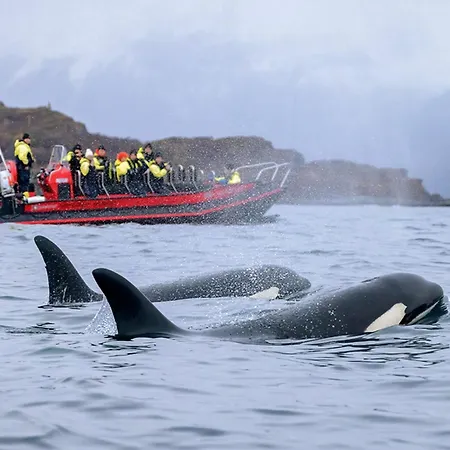 Thon Andrikken 호텔 안데네스