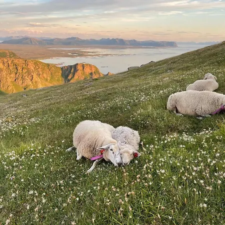 호텔 Thon Andrikken 3*