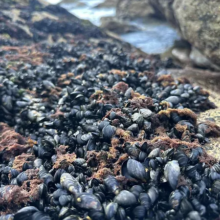 Thon Andrikken 호텔 3*